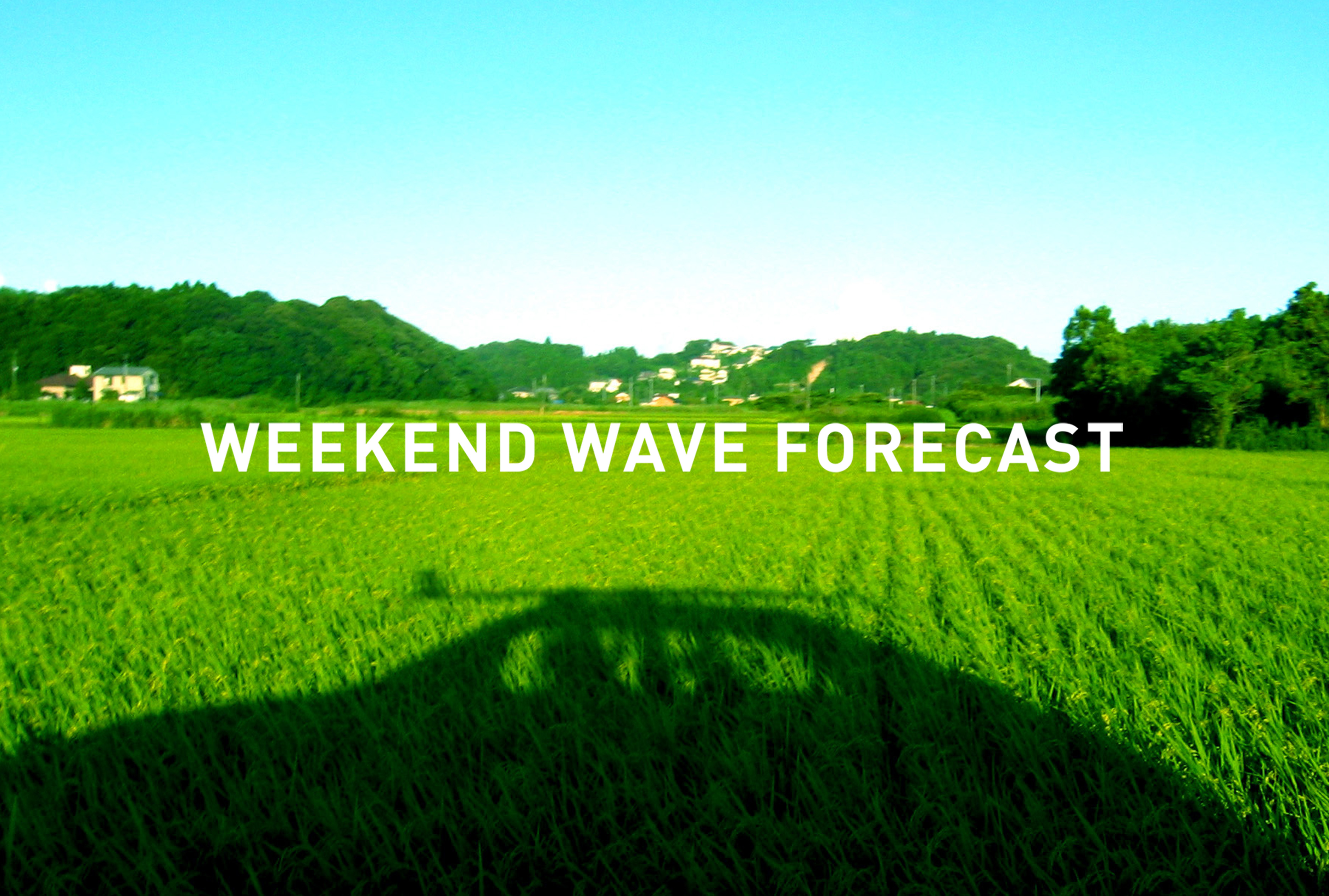 weekend wave forecast 0714